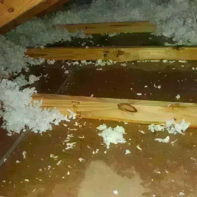 Attic Water Damage in La Alianza, PR